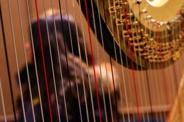 Musical instrument harp. Strings of a harp close up and Female silhouette background.