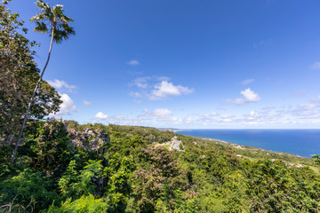 Barbados country and view to east coast