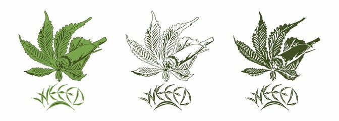 vector weed leaf keep rolled - obrazy, fototapety, plakaty