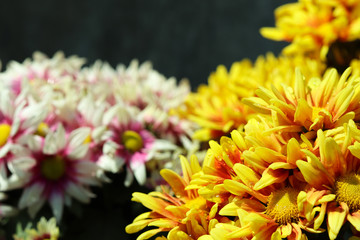 bunch of beautiful flowers for background or wallpaper.