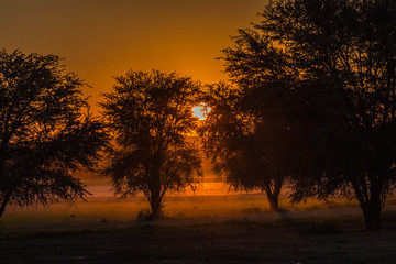 Fototapeta na wymiar Sunrise over the Kgalagadi National Park in South Africa