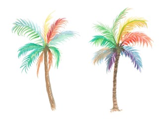 Fototapeta na wymiar isolated rainbow coconut tree watercolor illustration, nature plant on white background
