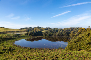 A Dew Pond near Kingston Ridge in the South Downs, on a sunny winters day