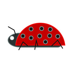 vector icon, with insect ladybug shape