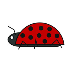vector icon, with insect ladybug shape