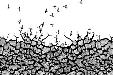 Crack soil. Abstract nature image. White background.