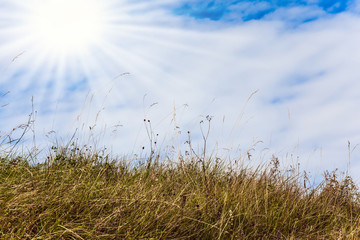 Fototapeta premium Dry grass and sun in the clouds