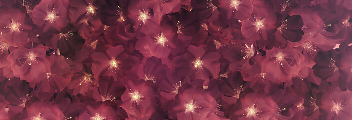 verfremdete kirschblüten samtig rot, florale dekoration tapete