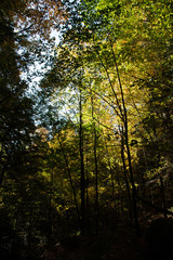 Ysperklamm hiking