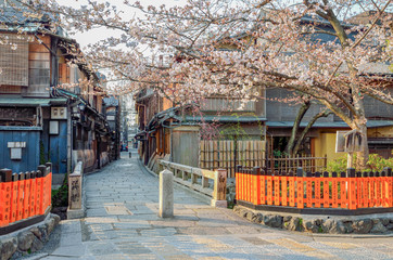 京都　祇園白川