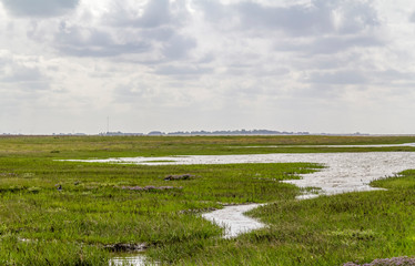 coastal scenery in Eastern Frisia