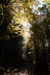 Obraz premium Ysperklamm hiking