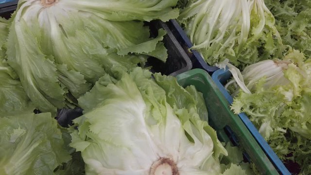 Fresh vegetables on market stall for sale: lettuce and endive