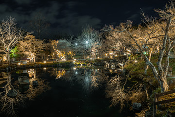 京都　円山公園の夜景