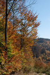 Fototapeta premium Ysperklamm hiking