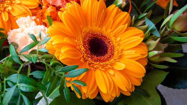 gelb orange Gerberablüte fokussiert in einem Blumenstrauß