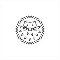 Hedgehog vector line icon