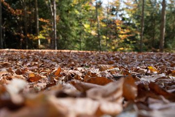 Ysperklamm hiking