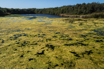 Oso Flaco Lake, California