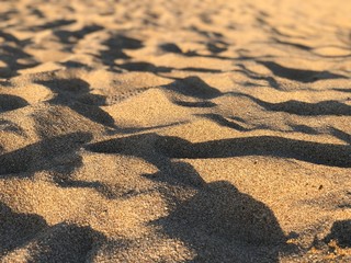 What can a beach tell you
