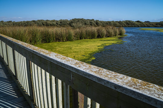 Wooden bridge over Oso Flaco Lake, California