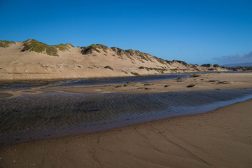 Deserted beach near Oso Flaco Lake, California