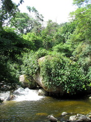 Downhill river - Atlantic Forest of the Paraty Region