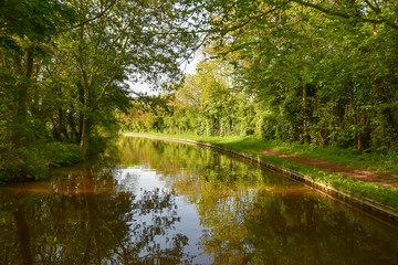 Fototapeta na wymiar Scenic canal view of the Llangollen Canal near Whitchurch, Shropshire, UK