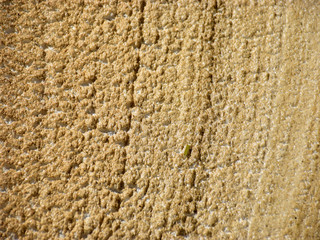 abstract picture with blurry water foam texture