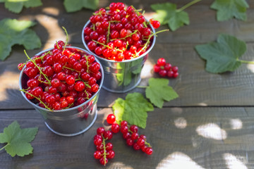 ripe red currant close-up. background with currant berries on the table.