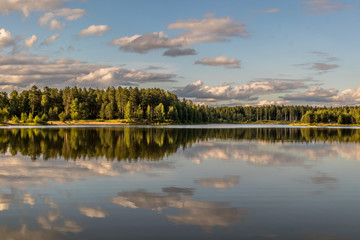 Fototapeta premium Mirror surface of a forest lake in clear summer weather
