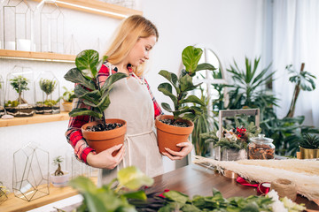 professional young florist lady at work, holding green plants in pots, look after and take care of them, enjoy and love working as florist in her own retail shop
