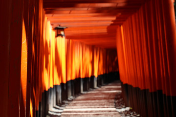 伏見稲荷大社　千本鳥居