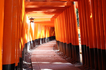 伏見稲荷大社　千本鳥居