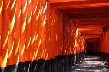 伏見稲荷大社　千本鳥居