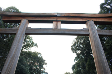 橿原神宮　鳥居