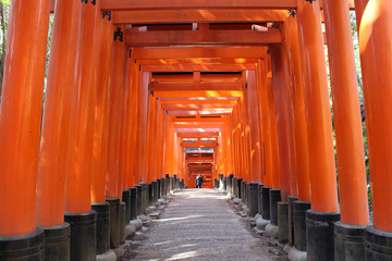 伏見稲荷大社　鳥居