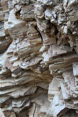 These rocks makeup part of the Santa Monica Mountains in Will Rogers State Park, and help create an environment where numerous Southern California native plants thrive.