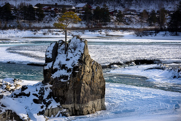 a lone pine tree on a rock in the middle of a frozen mountain river