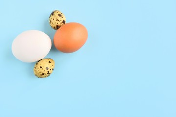 Organic chicken and quail eggs for Easter holiday on neutral light blue background. Raw egg. Easter eggs. Ingredients for healthy protein breakfast. Keto diet. Easter background traditional symbol