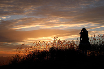 曽爾高原　ススキ