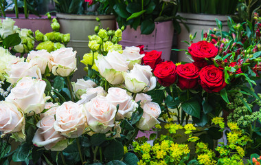 Bucket of roses in the market waiting for people to buy as a gift.
