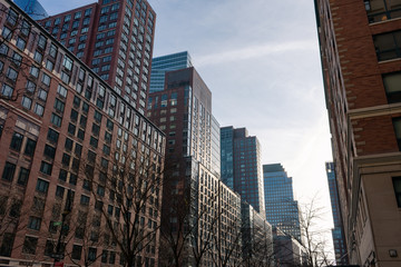 Lower Manhattan Street with Office Buildings and Skyscrapers in New York City