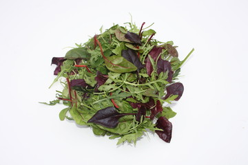Blattsalat gemischt