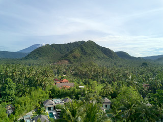 Fototapeta na wymiar Aerial view from drone, Bali - Jungle and mountain