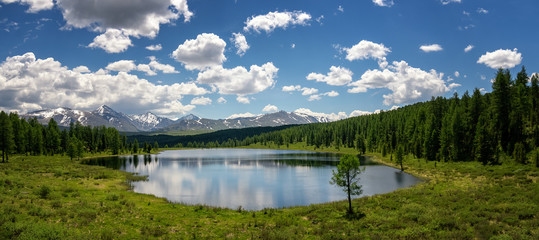 summer landscape on a Sunny day in Altai, Russia