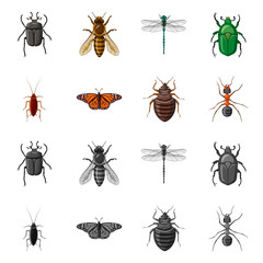 Vector illustration of insect and fly icon. Collection of insect and element stock symbol for web.
