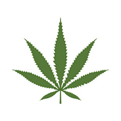 Vector design of hemp and cannabis logo. Graphic of hemp and leaf stock vector illustration.