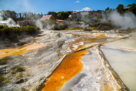 Geothermal Valley Geyser At Whakarewarewa Maori Village