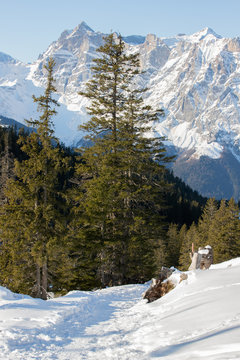 Eggberge Bilder Durchsuchen 119 Archivfotos, und